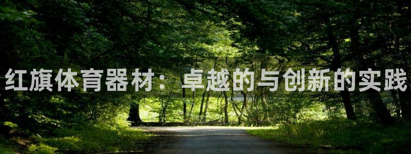 极悦平台与网易合作详情在哪：红旗体育器材：卓越的与创新的实践